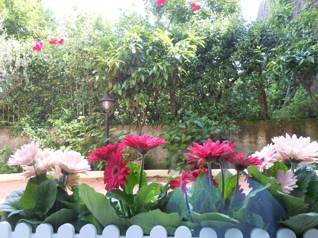 Certe Notti - Suites Pompei Luaran gambar